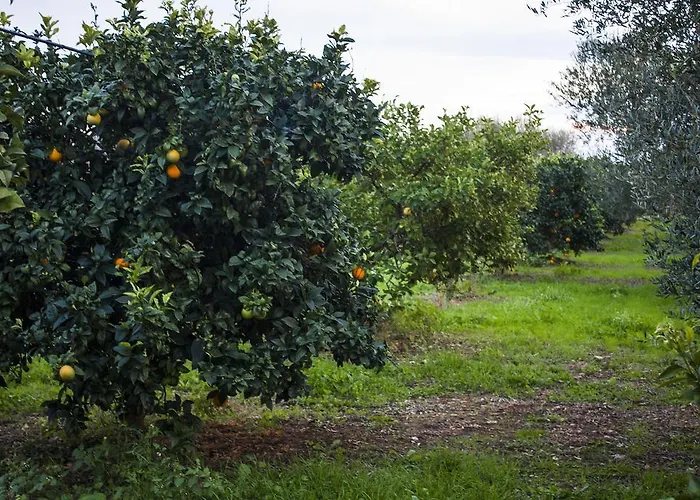 Masseria Marico *