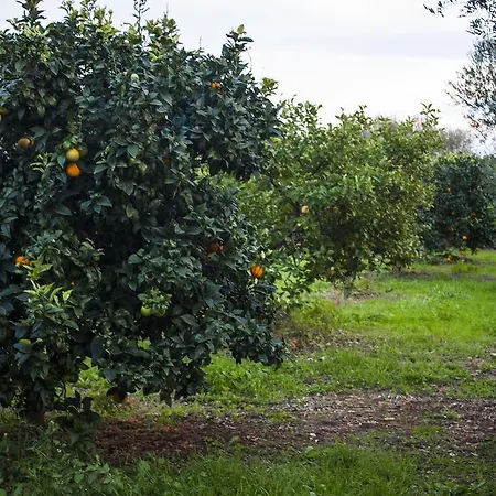 Masseria Marico *